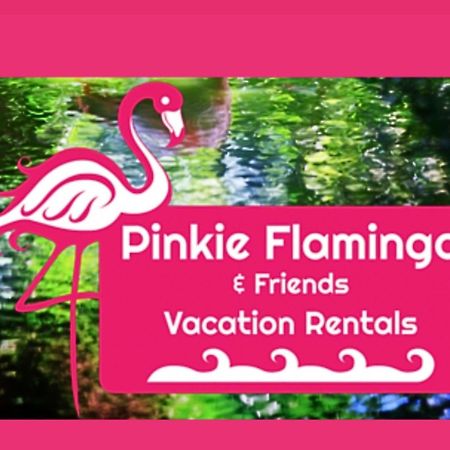 Anna'S Beach House Walk-Out To 30A In Seacrest- Pet-Friendly ローズマリー・ビーチ エクステリア 写真